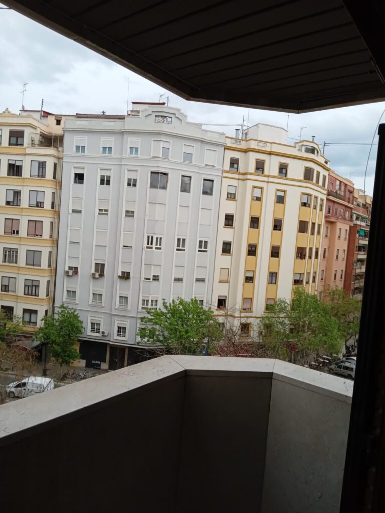 Spider ya tiene su propia red