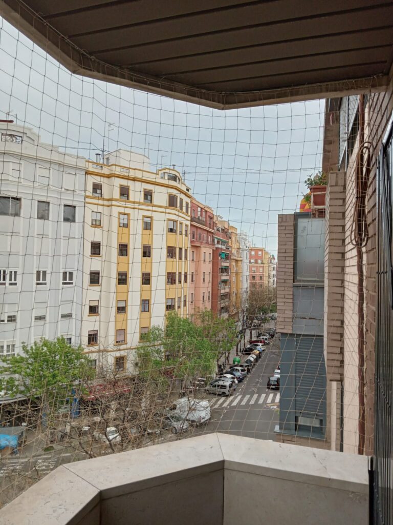 Spider ya tiene su propia red