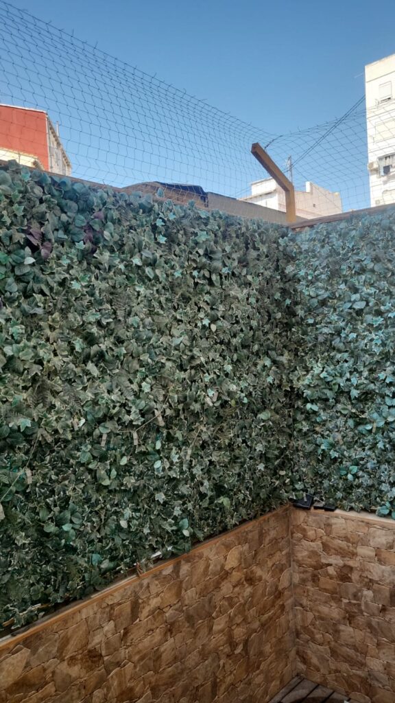 Instalación red perimetral en patio exterior calle Alzira Valencia gato Gandhi 06