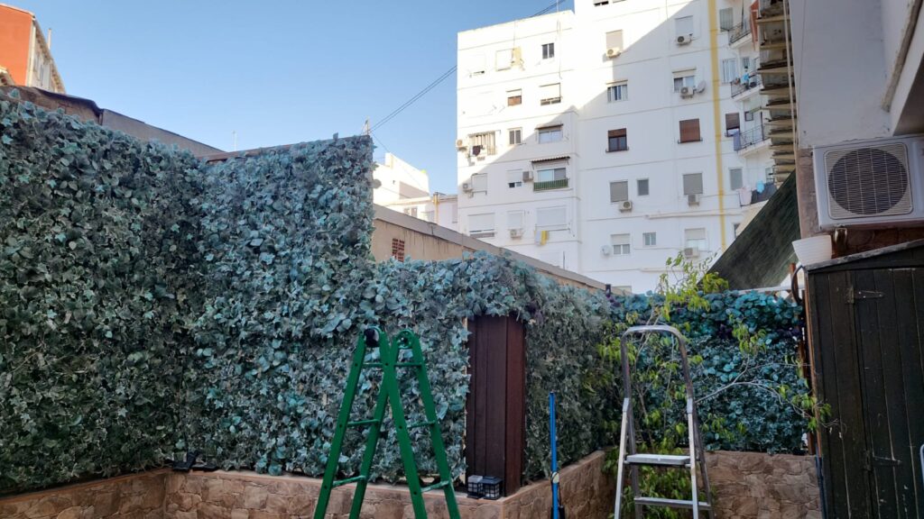 Instalación red perimetral en patio exterior calle Alzira Valencia gato Gandhi 12
