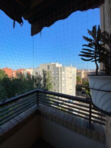 instalación avenida del cid valencia redes seguridad gatos