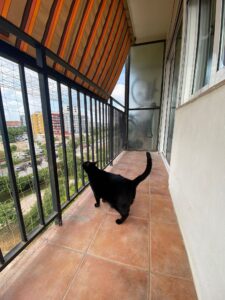 Instalación de redes estándar en un balcón para 3 gatos que viven en la vivienda 003