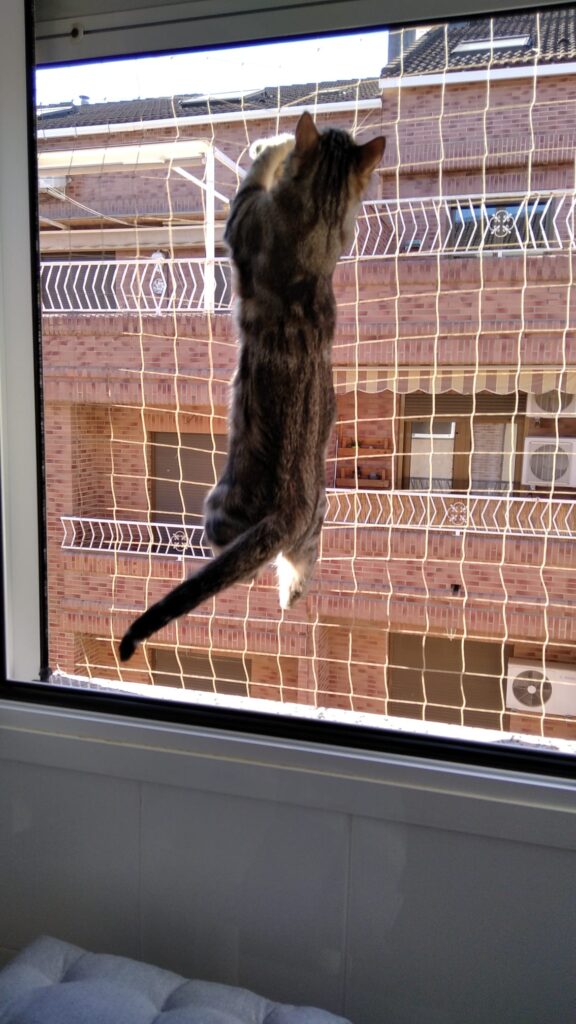 Dalí comprobando la seguridad nuestras instalaciones