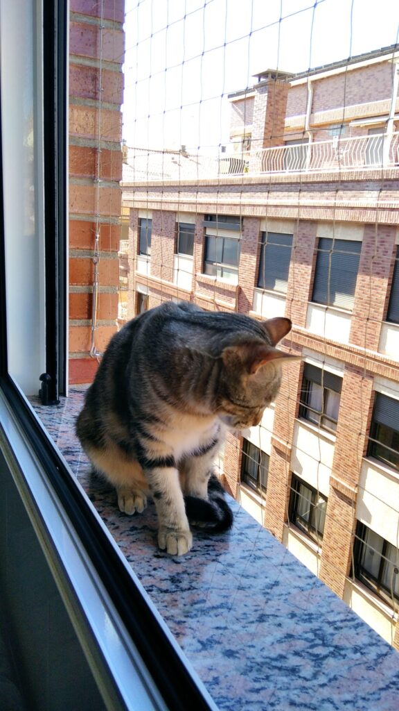 Dalí comprobando la seguridad nuestras instalaciones