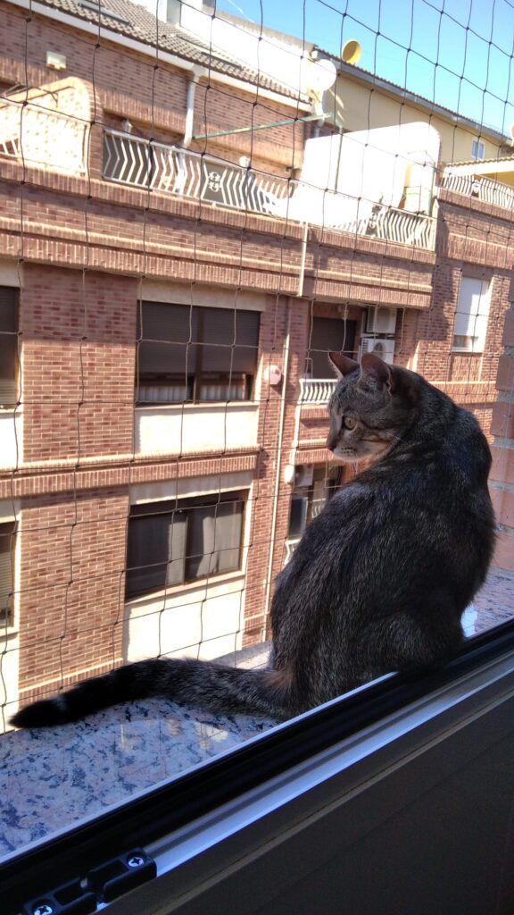 Dalí comprobando la seguridad nuestras instalaciones