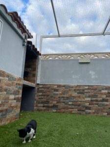 redes seguridad gatos patio trasero adosado