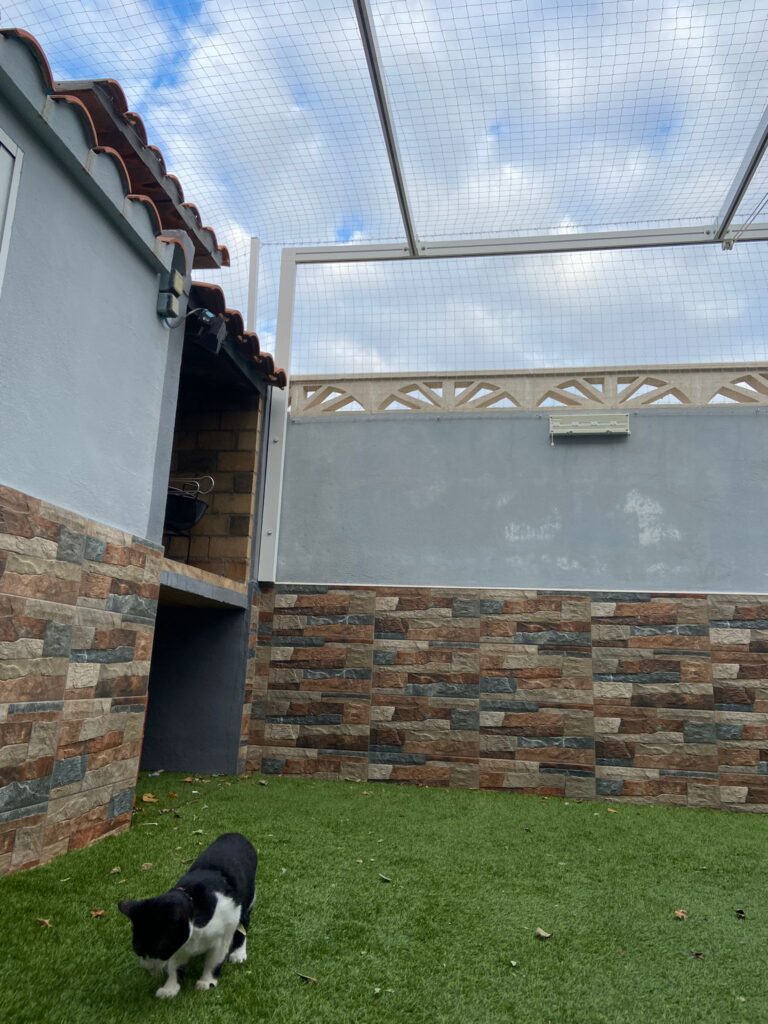 redes seguridad gatos patio trasero adosado
