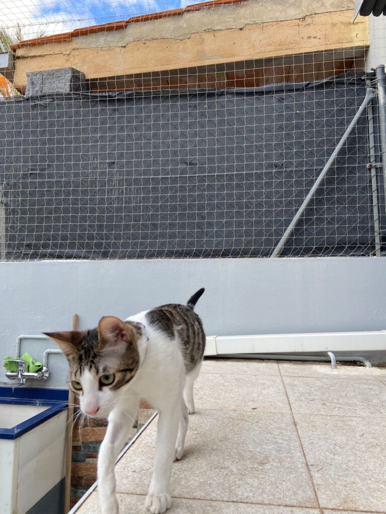 redes seguridad gatos patio trasero adosado
