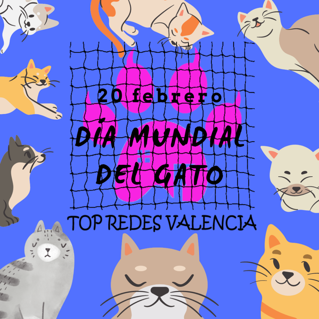 Dia mundial gato