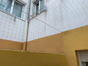 Samba la gatita fallera ya tiene su cerramiento completo en su vivienda