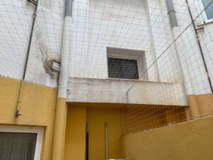 Samba la gatita fallera ya tiene su cerramiento completo en su vivienda