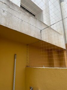 Samba la gatita fallera ya tiene su cerramiento completo en su vivienda