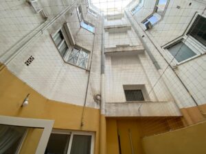Samba la gatita fallera ya tiene su cerramiento completo en su vivienda