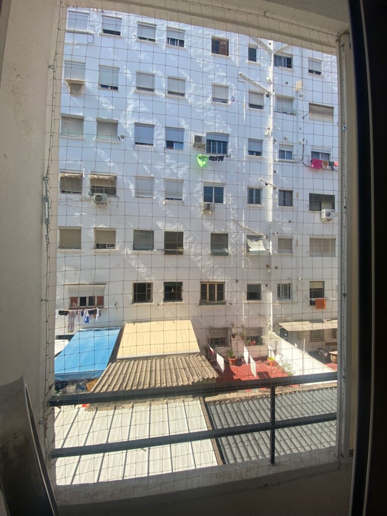 Nueva instalación de redes de seguridad para gatos en el centro de Valencia