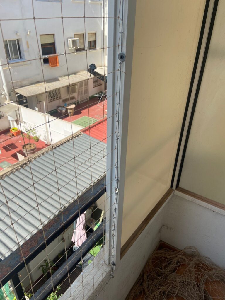 Nueva instalación de redes de seguridad para gatos en el centro de Valencia