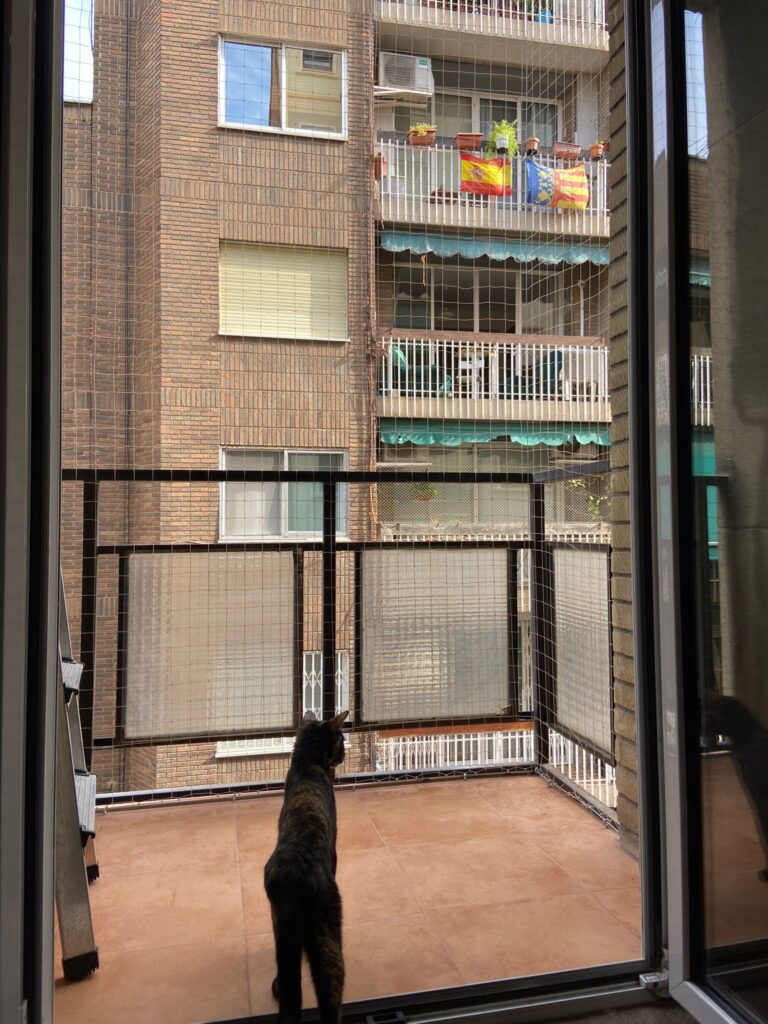 Nueva instalación de redes de seguridad para gatos en el centro de Valencia