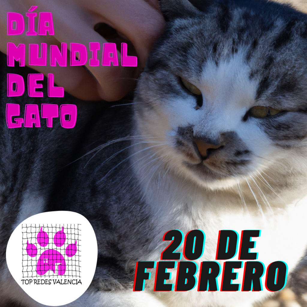 20 de febrero día mundial gato